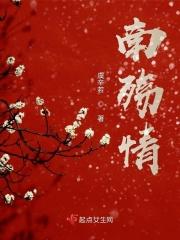 南殇情