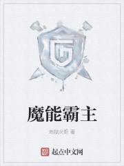 锦衣枭雄