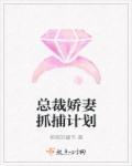 总裁娇妻抓捕计划