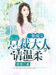 一胎双宝：总裁大人夜夜欢