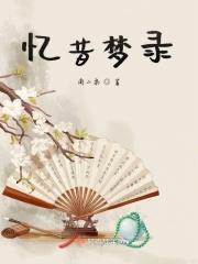忆昔梦录